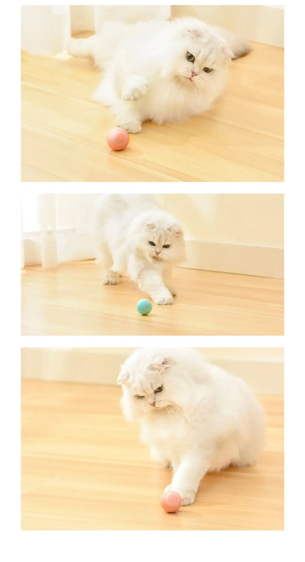 Interactive Magic Ball For Cats